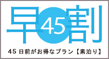 45日前がお得なプラン【素泊り】